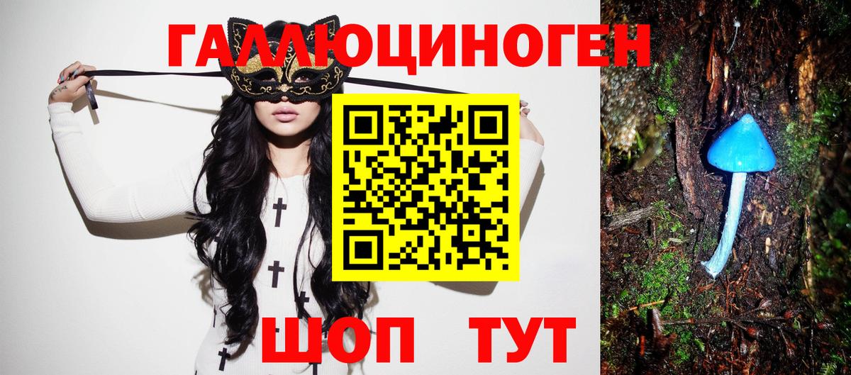 Галлюциногенные грибы Cubensis Электрогорск