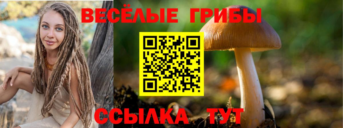 Псилоцибиновые грибы Cubensis  где продают наркотики  Электрогорск  Вход с VPN  Псилоцибиновые грибы Psilocybine cubensis 